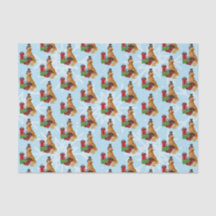 Golden Retriever-jul