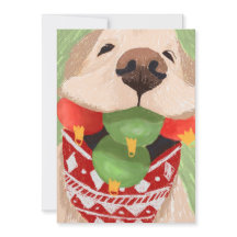 Golden Retriever jul Bollar Mouth Funny