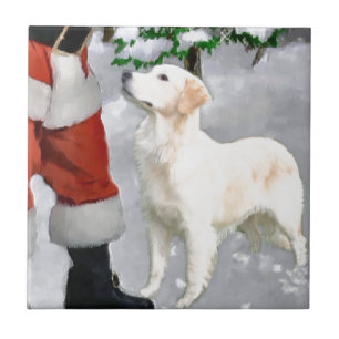 Golden Retriever-jul Kakelplatta