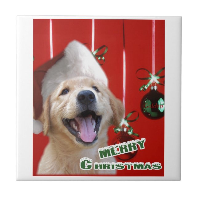 Golden Retriever-jul Kakelplatta (Framsidan)