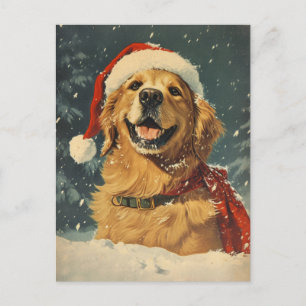 Golden Retriever-jul Vykort