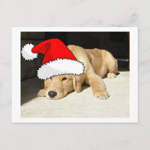 Golden Retriever-juldockan Helg Vykort
