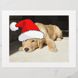 Golden Retriever-juldockan Reklamblad