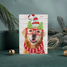 Golden Retriever Julglasögon Hatt Skarf Rolig