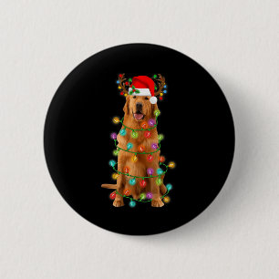 Golden Retriever Julgran Ljus Pajama Hund Knapp