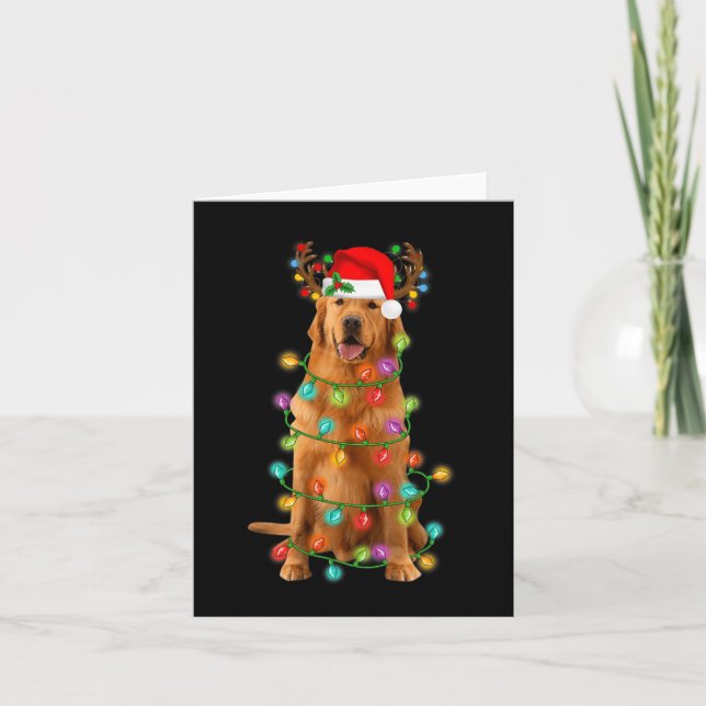 Golden Retriever Julgran Ljus Pajama Hund Kort (Framsida)