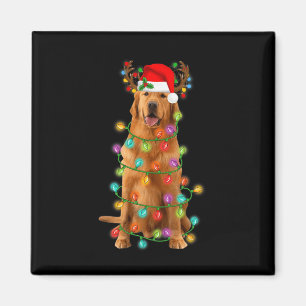 Golden Retriever Julgran Ljus Pajama Hund Magnet