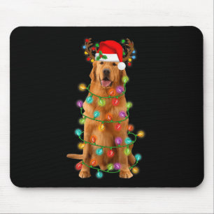Golden Retriever Julgran Ljus Pajama Hund Musmatta