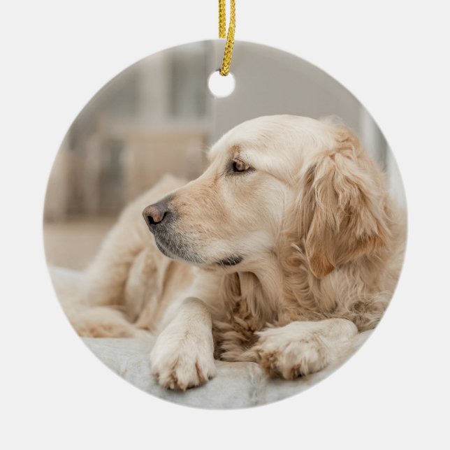 Golden Retriever Julgransprydnad Keramik (Framsidan)