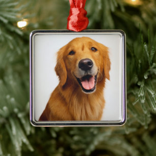 Golden Retriever Julgransprydnad Metall