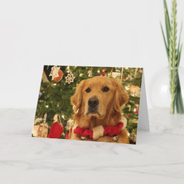 Golden Retriever-julkort Helgkort