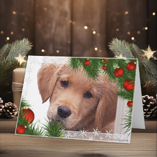 Golden Retriever-julkort Helgkort