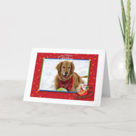 Golden Retriever-julkort Helgkort