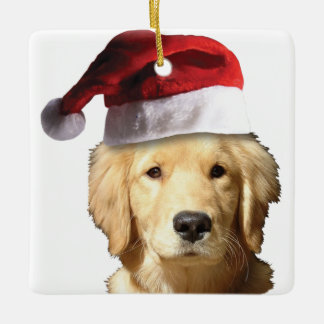 Golden Retriever Jultomten Julgransprydnad Keramik