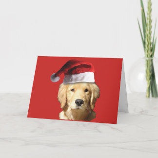 Golden Retriever Jultomten Kort