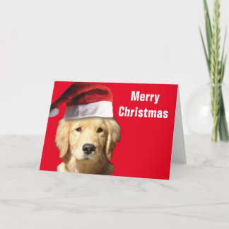Golden Retriever Jultomten Kort