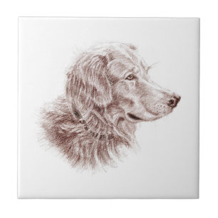 Golden Retriever Kakelplatta