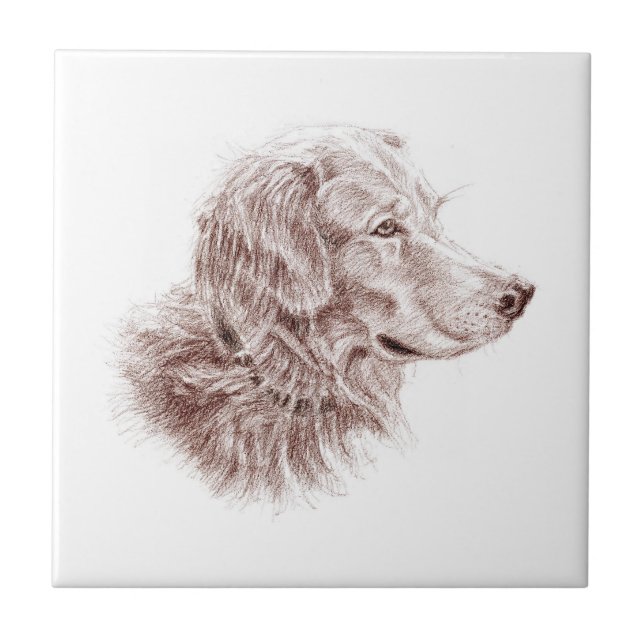 Golden Retriever Kakelplatta (Framsidan)