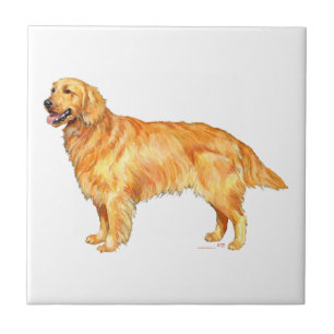 Golden Retriever Kakelplatta