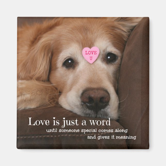 Golden Retriever Kärlek är bara en Ord Valentine Magnet (Framsidan)