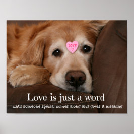 Golden Retriever Kärlek är bara ett Ord Poster