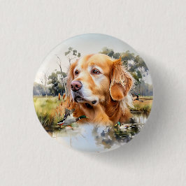 Golden Retriever Knapp