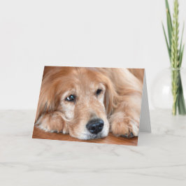 Golden Retriever kommer bra Kort