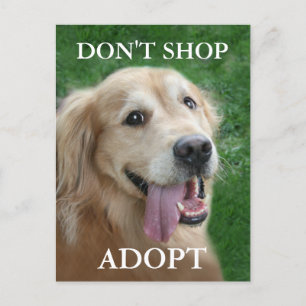 Golden Retriever köp inte Adopt Rädding Vykort