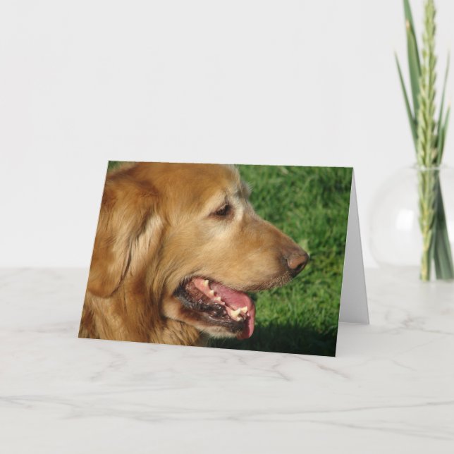 Golden Retriever Kort (Framsida)