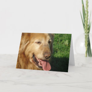Golden Retriever Kort
