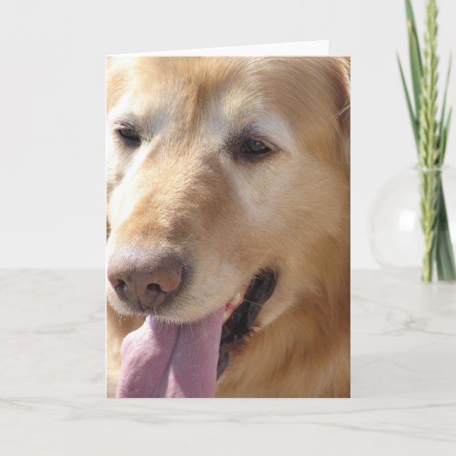 Golden Retriever Kort (Framsida)