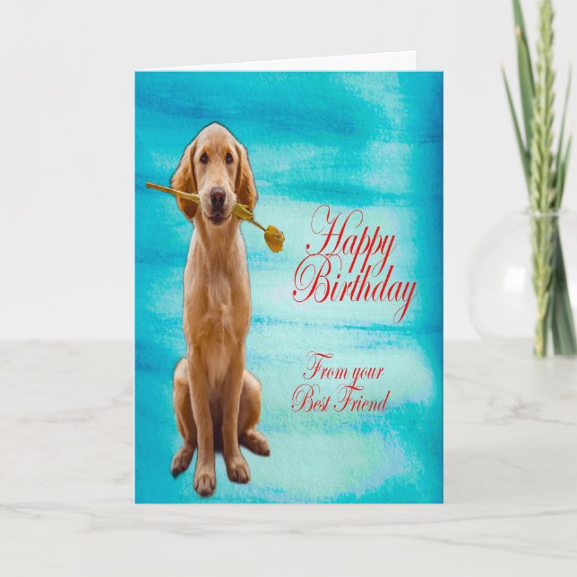 Golden Retriever Kort (Framsida)