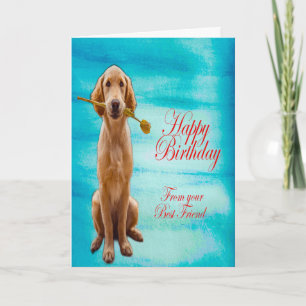 Golden Retriever Kort