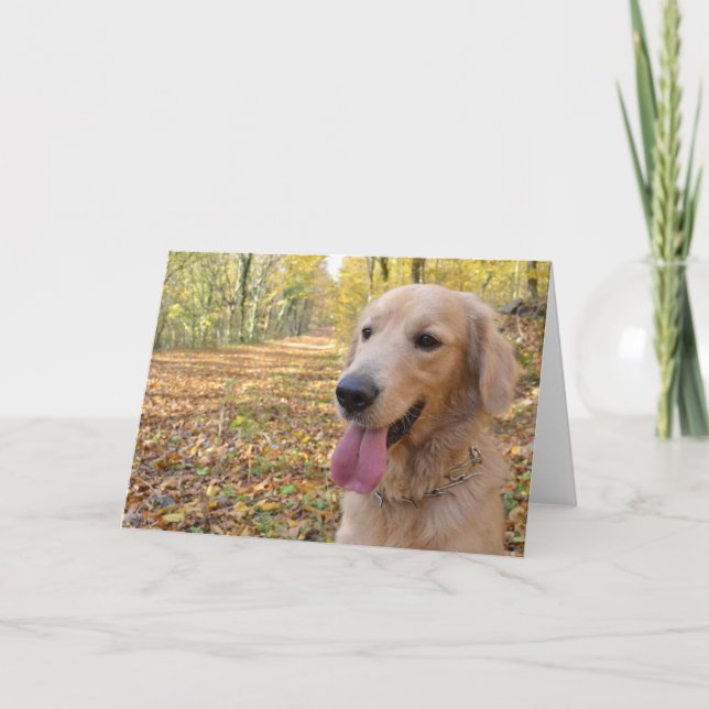 Golden Retriever Kort (Framsida)