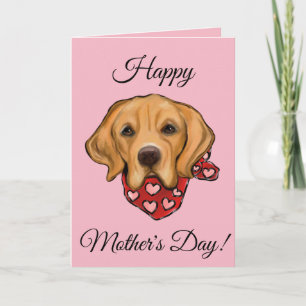 Golden Retriever Kort