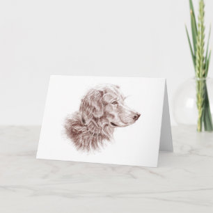 Golden Retriever Kort