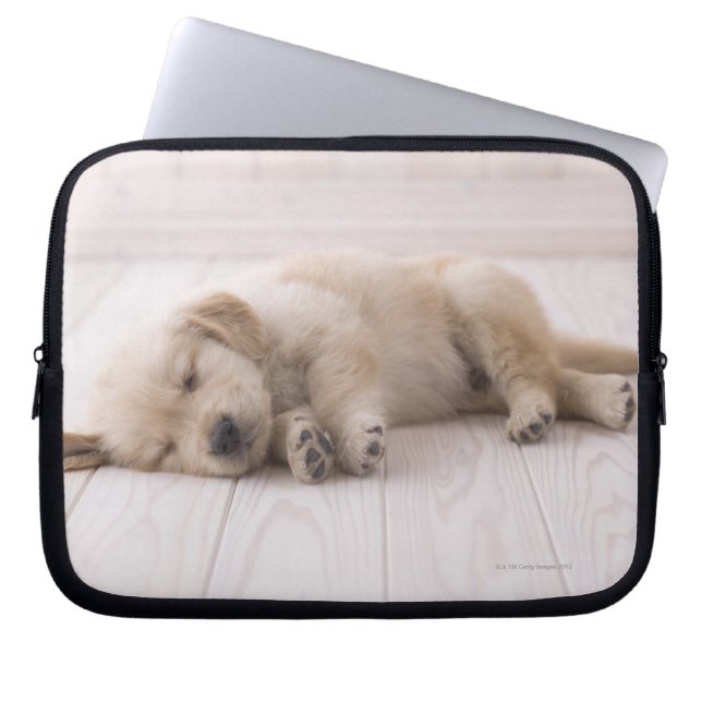 Golden Retriever Laptop Fodral (Framsidan)