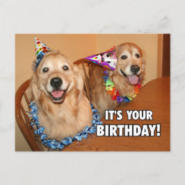 Golden Retriever Låt oss Party Birthday Inbjudan Vykort