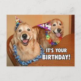 Golden Retriever Låt oss Party Birthday Inbjudan Vykort