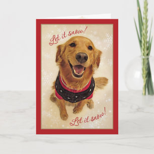 Golden Retriever Låt Snö!Julkort Helgkort