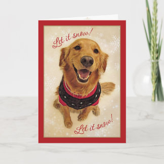 Golden Retriever Låt Snö!Julkort Helgkort