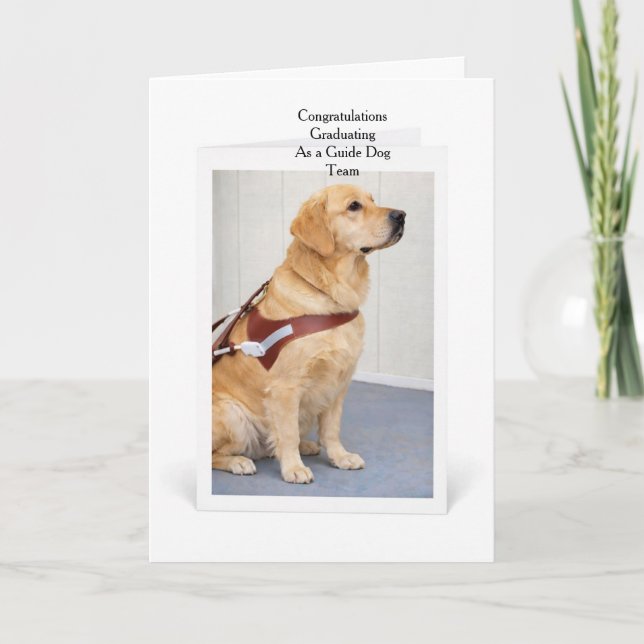 Golden Retriever Ledarhund Utexamen Kort (Framsida)