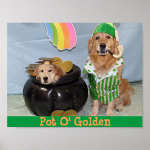 Golden Retriever Leprechaun's Pot of Golden Poster