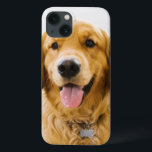 Golden Retriever ler<br><div class="desc">Golden Retriever ler</div>