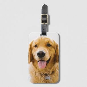 Golden Retriever ler Bagagebricka