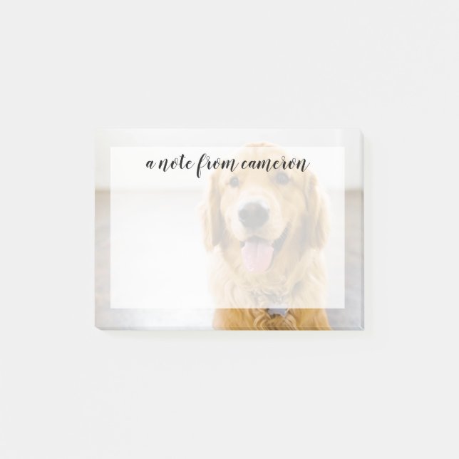 Golden Retriever ler Post-it Block (Framsida)