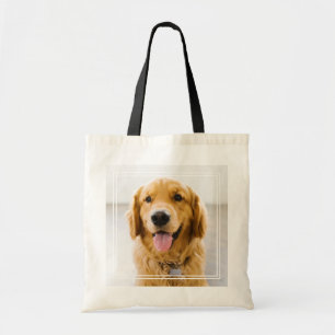 Golden Retriever ler Tygkasse