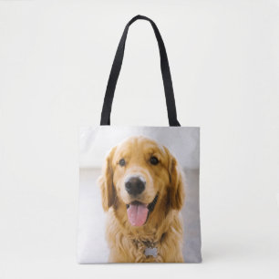 Golden Retriever ler Tygkasse