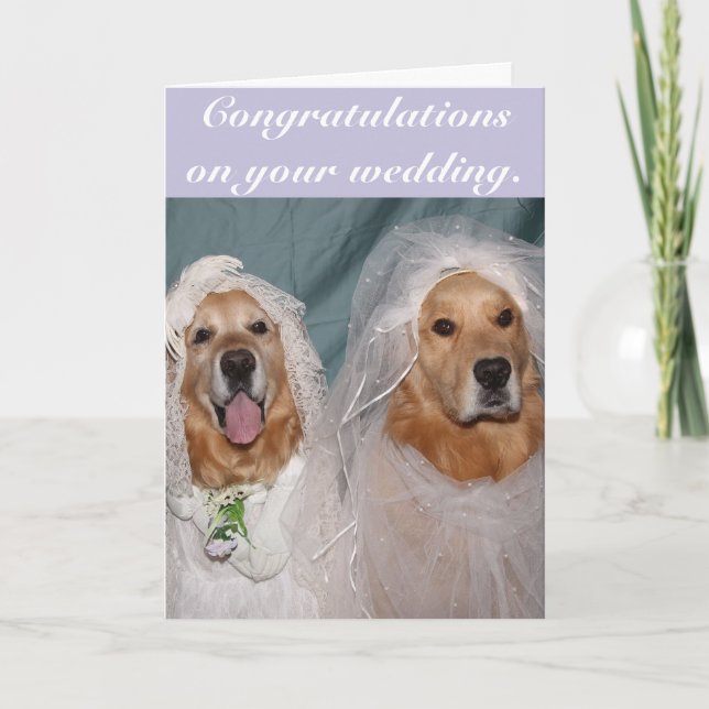 Golden Retriever Lesbisk Brides Bröllop Kort (Framsida)