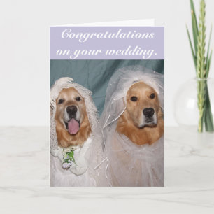 Golden Retriever Lesbisk Brides Bröllop Kort